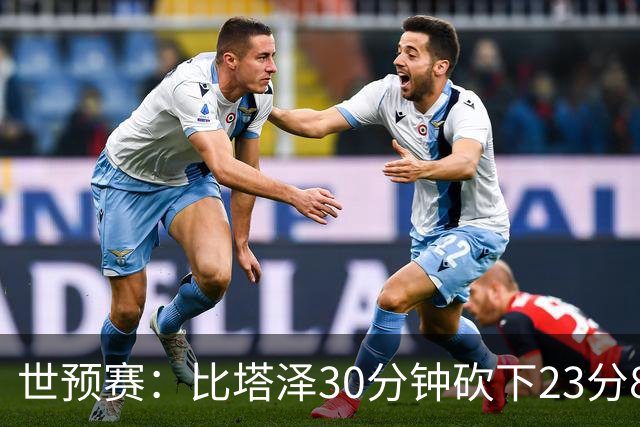世预赛：比塔泽30分钟砍下23分8板