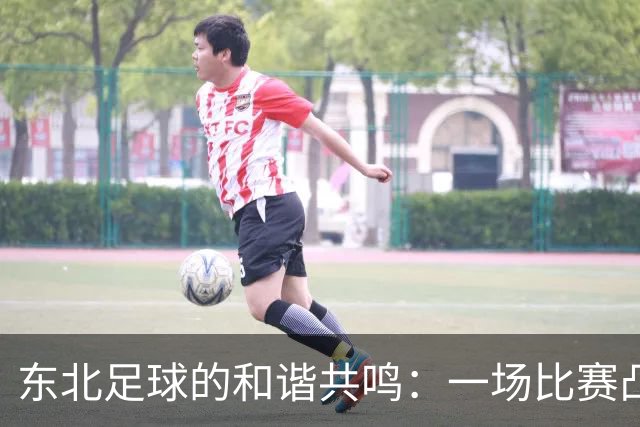东北足球的和谐共鸣：一场比赛凸显团结与文化