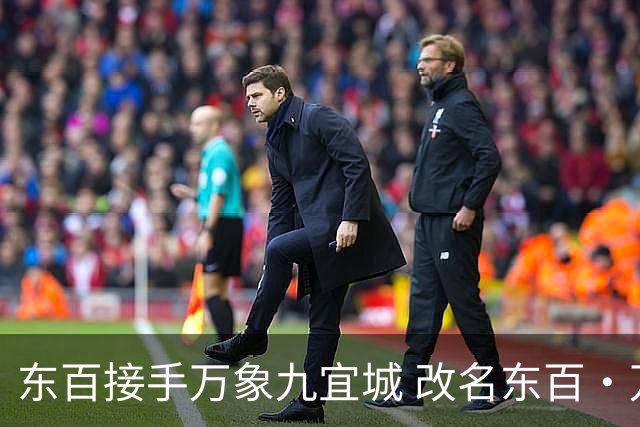 东百接手万象九宜城 改名东百·万象Park