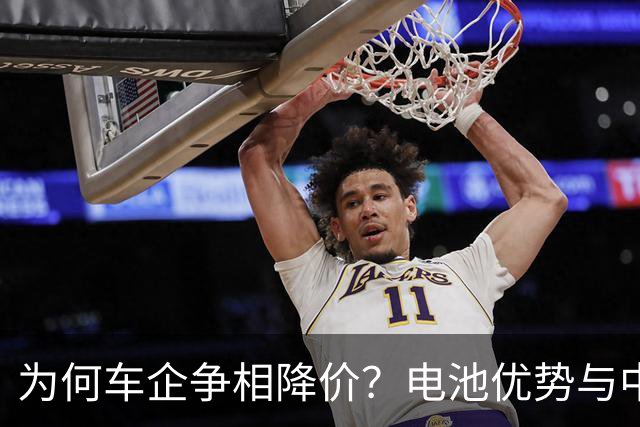为何车企争相降价？电池优势与中国势力在改变市场