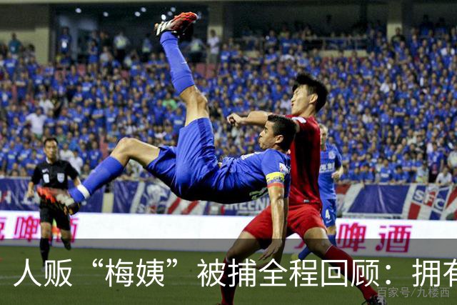 人贩“梅姨”被捕全程回顾：拥有双重身份，曾因重婚罪入狱