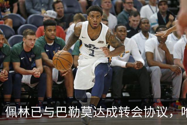 佩林已与巴勒莫达成转会协议，唯手续待办