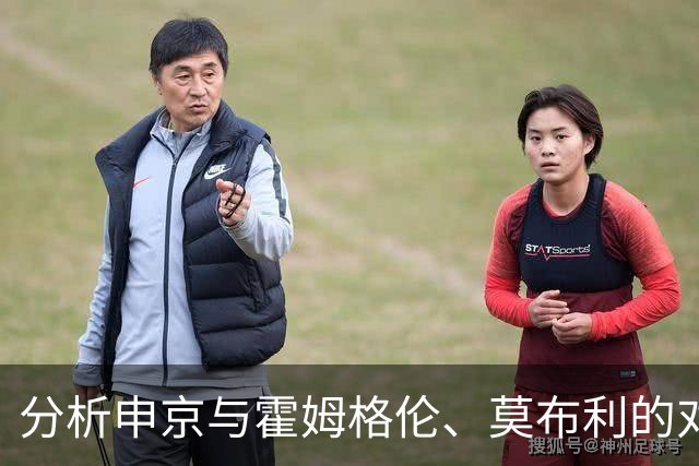 分析申京与霍姆格伦、莫布利的对比