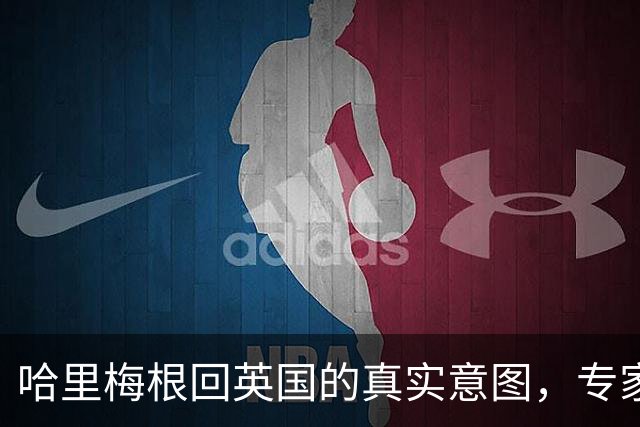 哈里梅根回英国的真实意图，专家解析背后原因