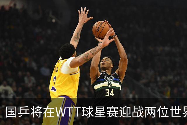 国乒将在WTT球星赛迎战两位世界冠军，争夺单打四强