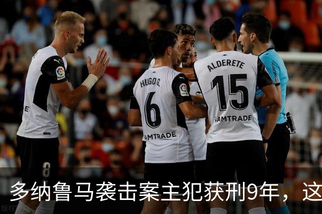 多纳鲁马袭击案主犯获刑9年，这是他的第15次犯罪记录