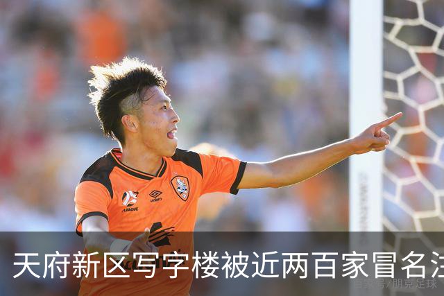 天府新区写字楼被近两百家冒名注册，疑涉伪造与犯罪