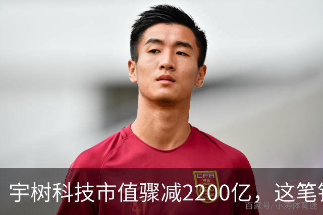 宇树科技市值骤减2200亿，这笔钱究竟去哪儿了？