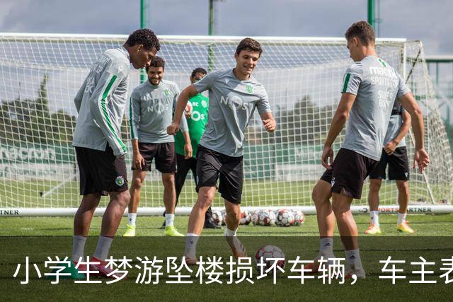 小学生梦游坠楼损坏车辆，车主表示可延后赔偿