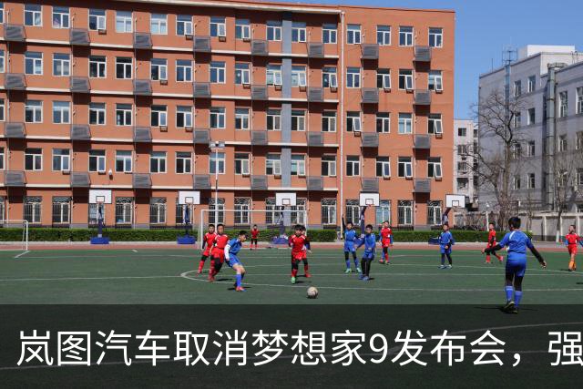 岚图汽车取消梦想家9发布会，强调用户体验为重心