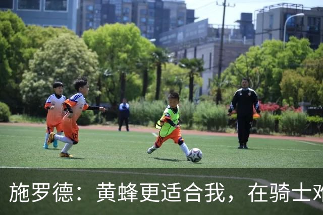 施罗德：黄蜂更适合我，在骑士难以融入