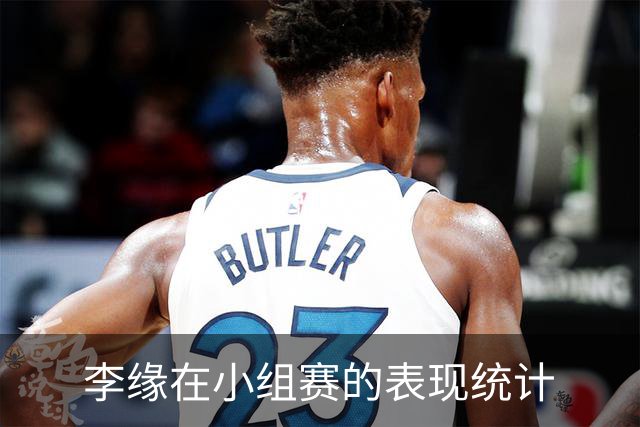 李缘在小组赛的表现统计