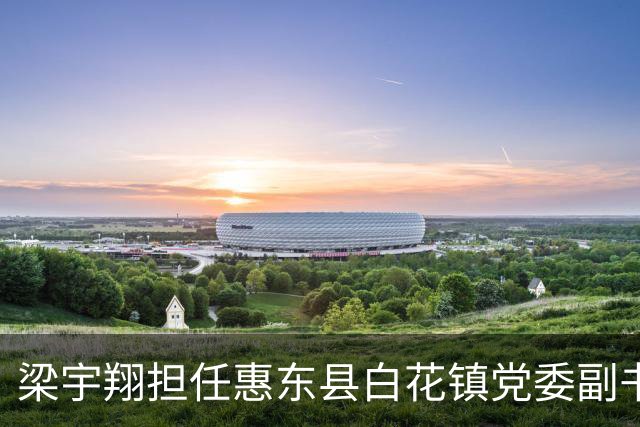 梁宇翔担任惠东县白花镇党委副书记及镇长提名