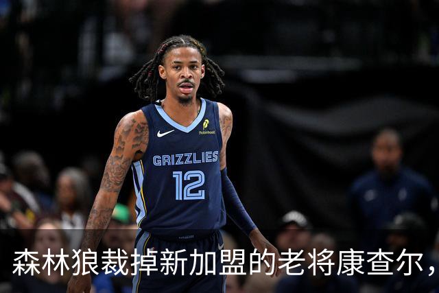 森林狼裁掉新加盟的老将康查尔，腾出薪资空间
