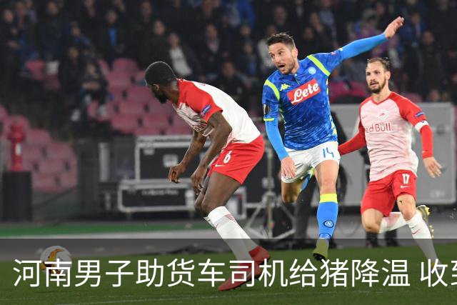 河南男子助货车司机给猪降温 收到小猪作为谢礼