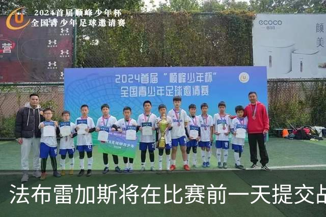 法布雷加斯将在比赛前一天提交战术计划