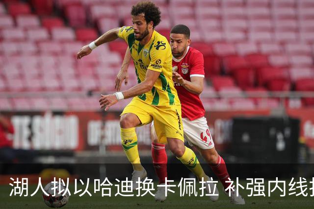 湖人拟以哈迪换卡佩拉 补强内线护筐
