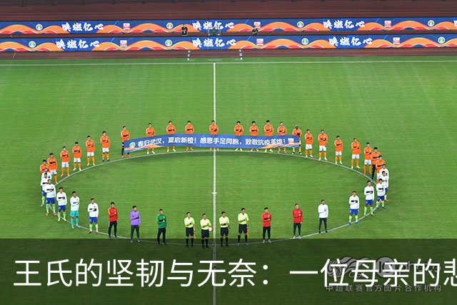 王氏的坚韧与无奈：一位母亲的悲喜人生