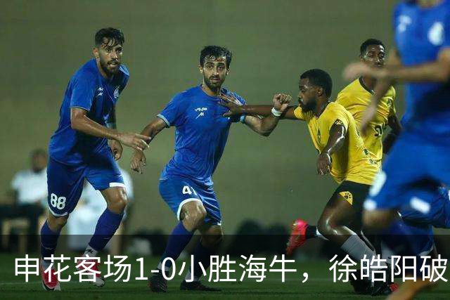 申花客场1-0小胜海牛，徐皓阳破门