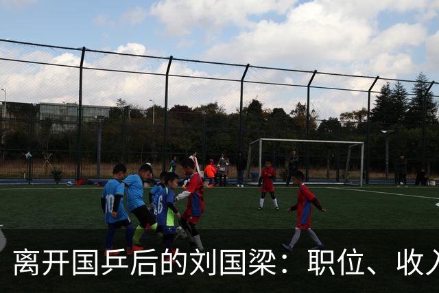 离开国乒后的刘国梁：职位、收入与选择