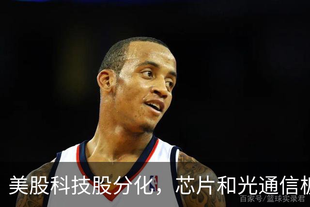 美股科技股分化，芯片和光通信板块活跃，中概股走低