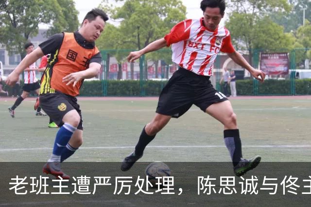 老班主遭严厉处理，陈思诚与佟主任关系微妙