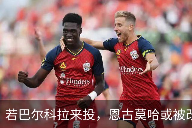 若巴尔科拉来投，恩古莫哈或被改打右路