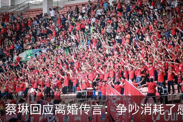 蔡琳回应离婚传言：争吵消耗了感情能量