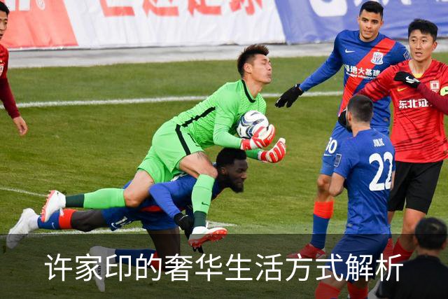 许家印的奢华生活方式解析