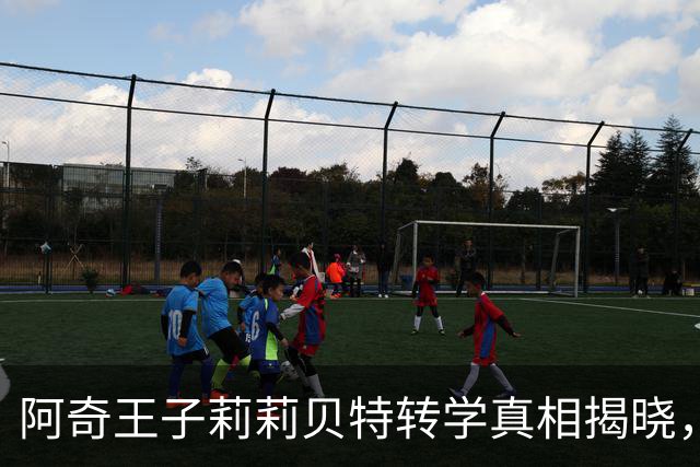 阿奇王子莉莉贝特转学真相揭晓，保障温莎家族安全受挑战！