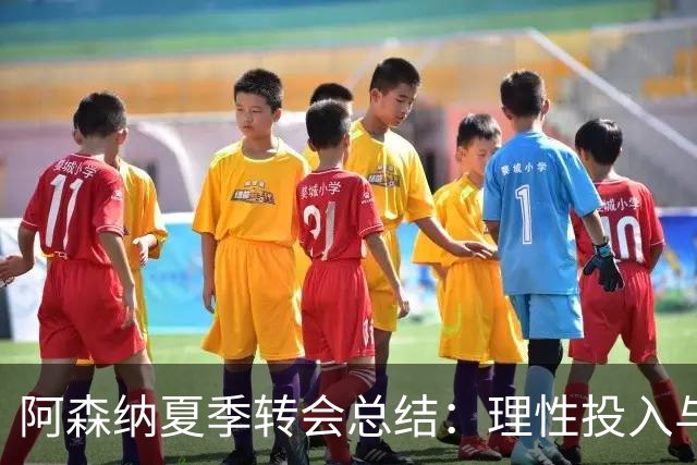 阿森纳夏季转会总结：理性投入与未来潜力