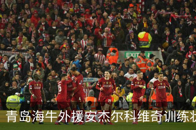 青岛海牛外援安杰尔科维奇训练状态不佳