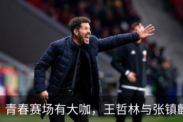 青春赛场有大咖，王哲林与张镇麟到场助阵