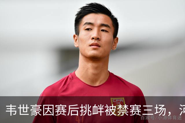 韦世豪因赛后挑衅被禁赛三场，河南赛区遭警告