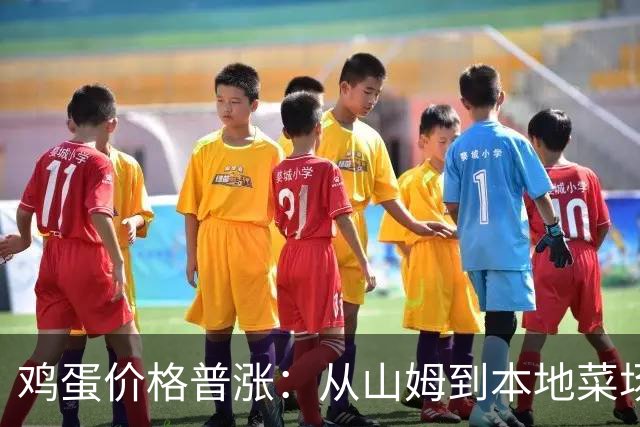 鸡蛋价格普涨：从山姆到本地菜场都抬高了