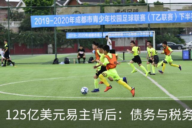 125亿美元易主背后：债务与税务驱动的连锁效应