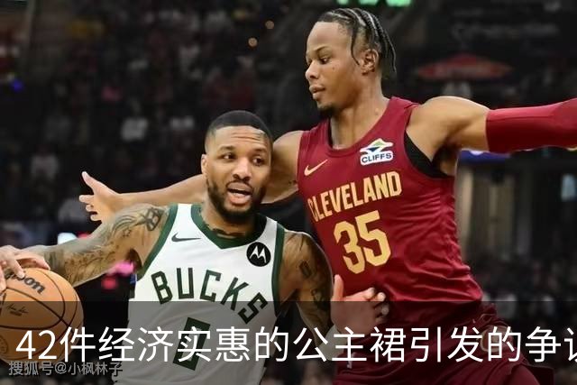42件经济实惠的公主裙引发的争议，家庭幸福差异显著