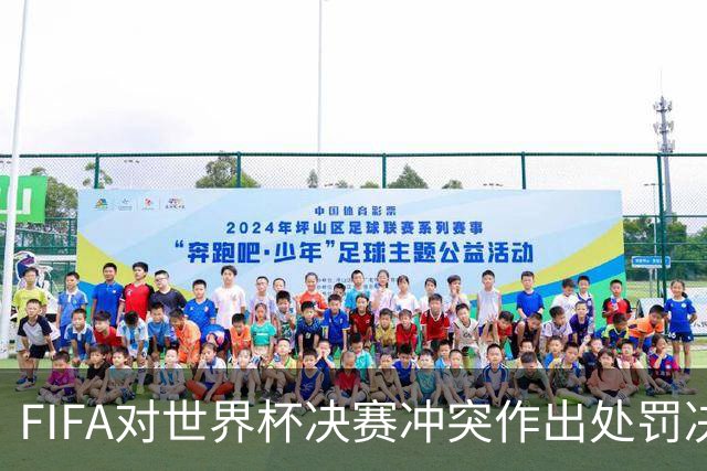 FIFA对世界杯决赛冲突作出处罚决定
